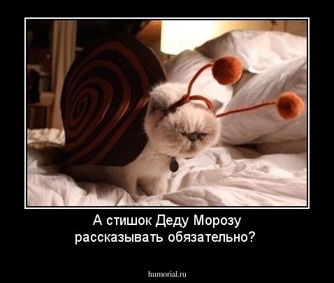 А стишок Деду Морозу рассказывать обязательно?