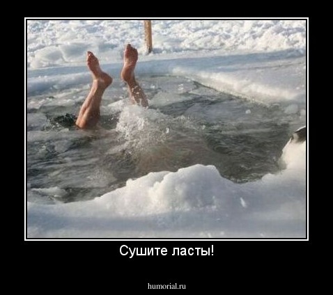 Сушите ласты!