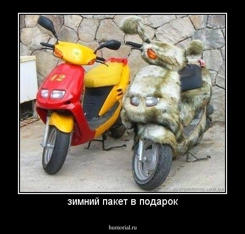 зимний пакет в подарок