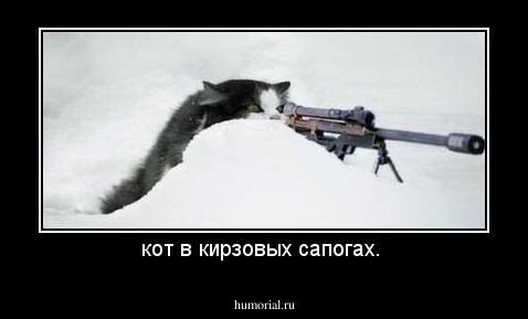 кот в кирзовых сапогах. 