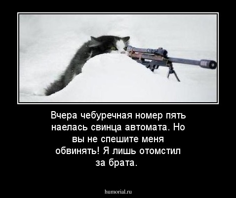 Вчера чебуречная номер пять наелась свинца автомата.
Но вы не спешите меня обвинять! Я лишь отомстил за брата.