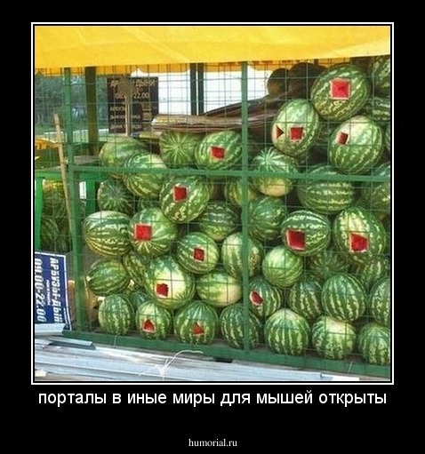 порталы в иные миры для мышей открыты