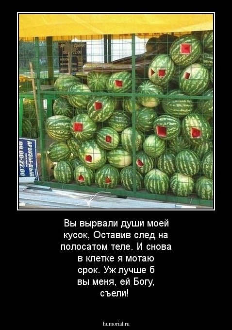 Вы вырвали души моей кусок, Оставив след на полосатом теле. И снова в клетке я мотаю срок. Уж лучше б вы меня, ей Богу, съели!