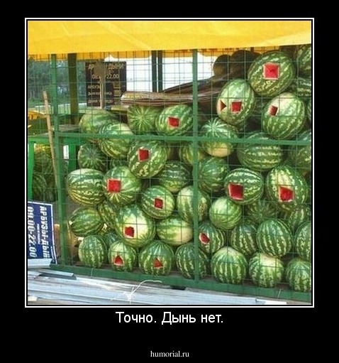 Точно. Дынь нет.