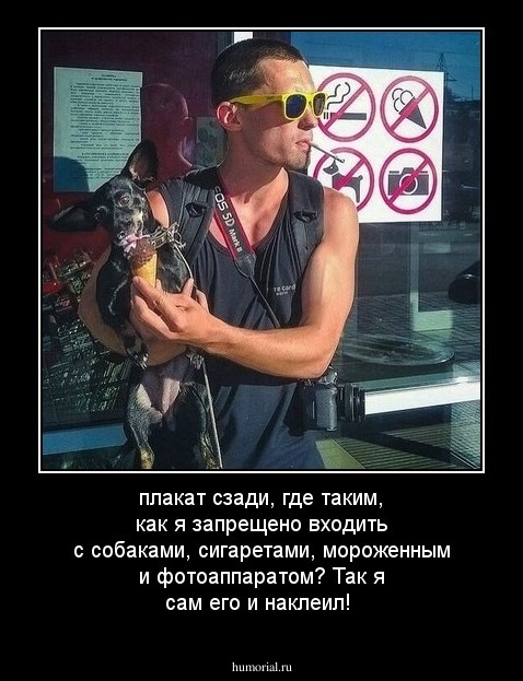 плакат сзади, где таким, как я запрещено входить с собаками, сигаретами, мороженным и фотоаппаратом? Так я сам его и наклеил!