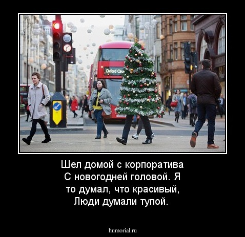 Шел домой с корпоратива 
С новогодней головой. 
Я то думал, что красивый, 
Люди думали тупой.