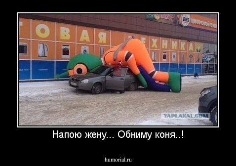 Напою жену... Обниму коня..!