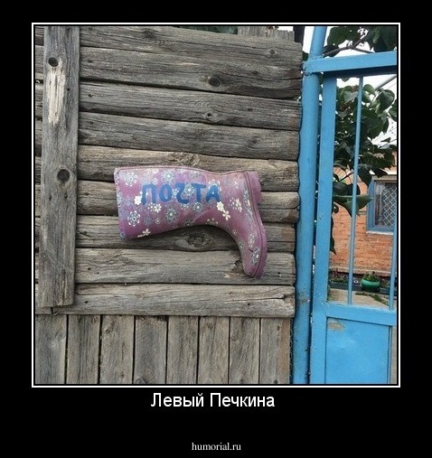 Левый Печкина 