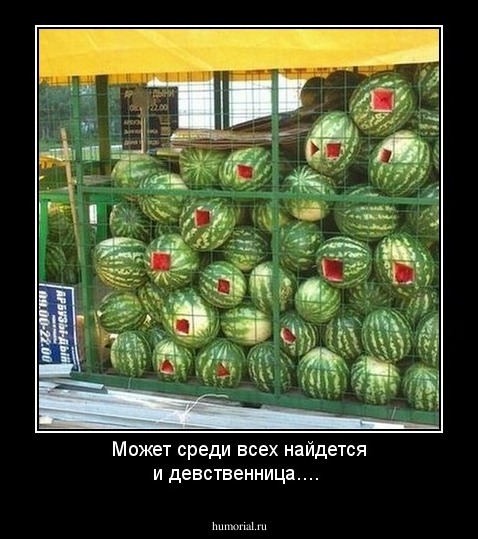Может среди всех найдется и девственница....