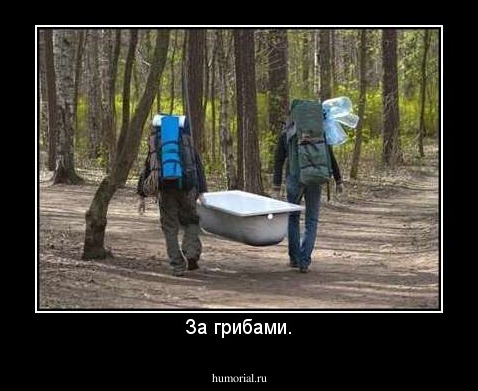 За грибами.