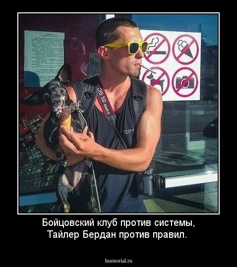 Бойцовский клуб против системы, Тайлер Бердан против правил.