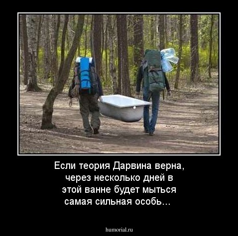 Если теория Дарвина верна, через несколько дней в этой ванне будет мыться самая сильная особь...