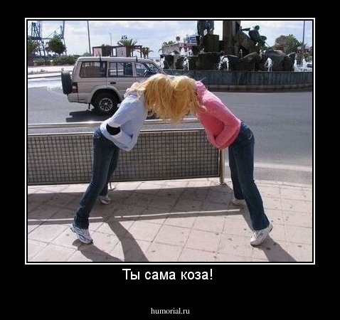 Ты сама коза! 