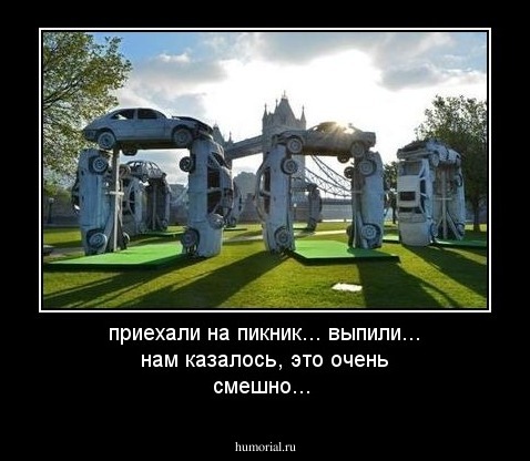 приехали на пикник... выпили... нам казалось, это очень смешно...