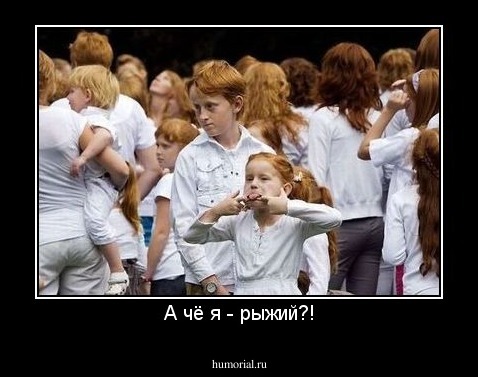 А чё я - рыжий?!