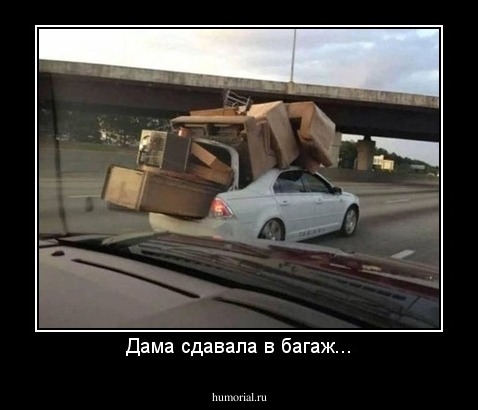 Дама сдавала в багаж...