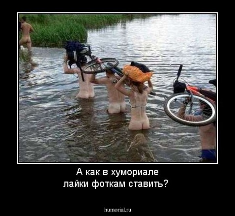 А как в хумориале  лайки фоткам  ставить?