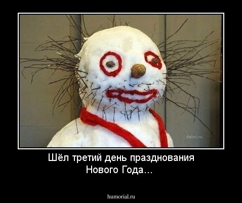 Шёл третий день празднования Нового Года...