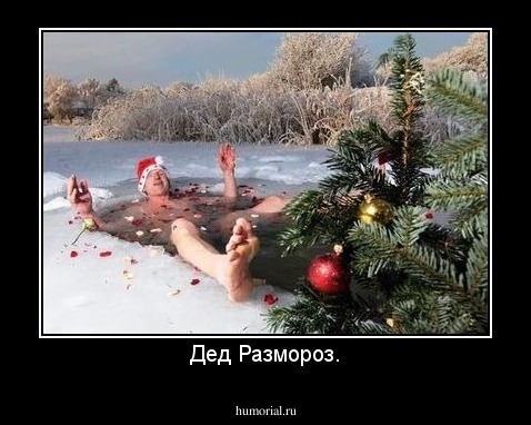 Дед Размороз.