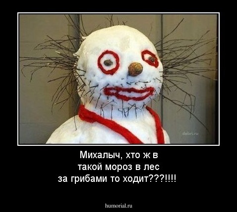 Михалыч, хто ж в такой мороз в лес за грибами то ходит???!!!!