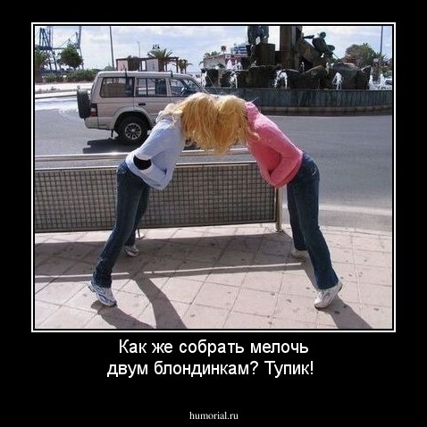 Как же собрать мелочь двум блондинкам? Тупик!