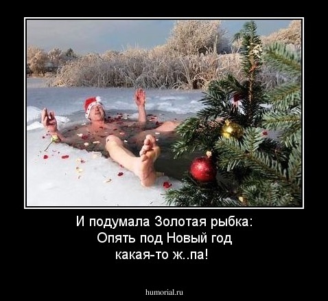  И подумала  Золотая рыбка:  Опять под Новый год какая-то ж..па! 