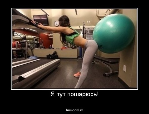 Я тут пошарюсь!