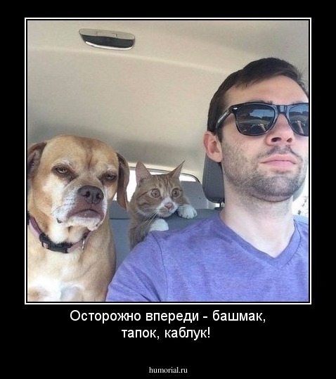 Осторожно впереди - башмак, тапок, каблук!