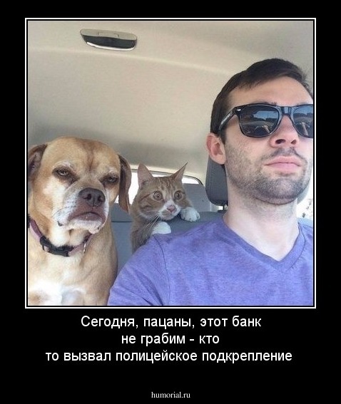 Сегодня, пацаны, этот банк не грабим - кто то вызвал полицейское подкрепление