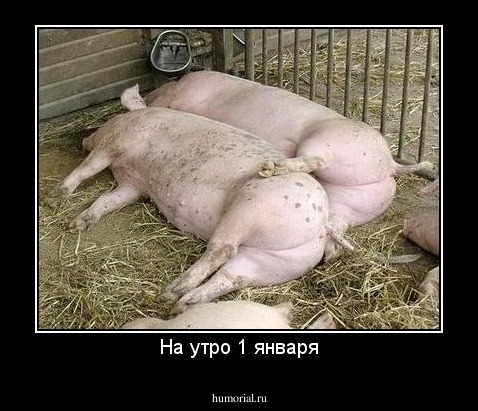 На утро 1 января