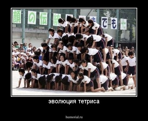 эволюция тетриса