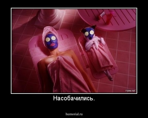 Насобачились.