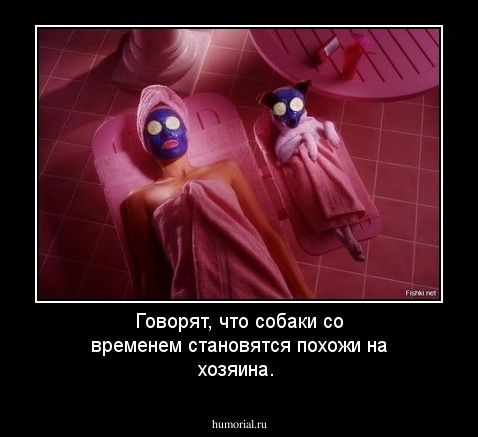 Говорят, что собаки со временем становятся похожи на хозяина.  
