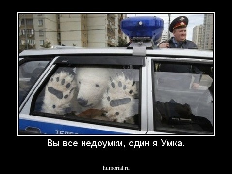 Вы все недоумки, один я Умка.