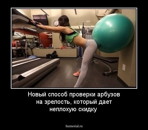 Новый способ проверки арбузов на зрелость, который дает неплохую скидку
