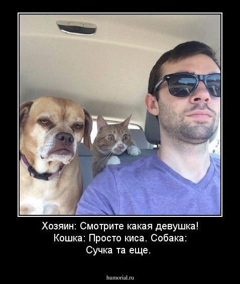 Хозяин: Смотрите какая девушка!
Кошка: Просто киса.
Собака: Сучка та еще. 
