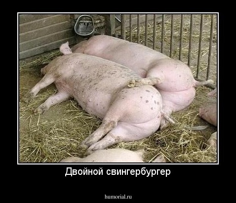 Двойной свингербургер