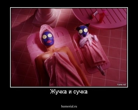 Жучка и сучка