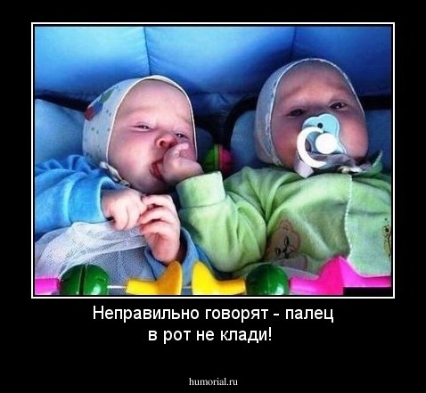 Неправильно говорят - палец в рот не клади!