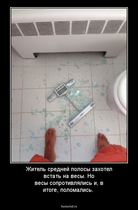 Житель средней полосы захотел встать на весы. Но весы сопротивлялись и, в итоге, поломались.