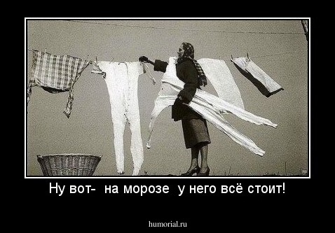 Ну вот-  на морозе  у него всё стоит!