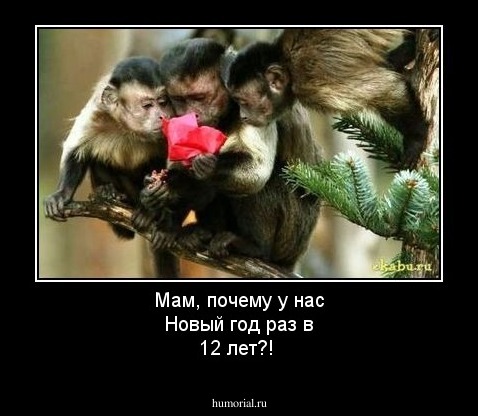 Мам, почему у нас Новый год раз в 12 лет?!