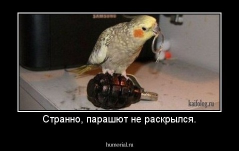 Странно, парашют не раскрылся.