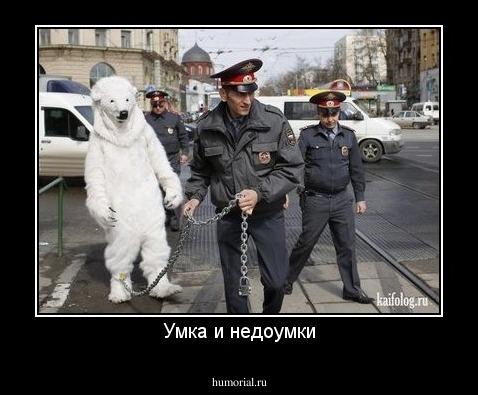 Умка и недоумки