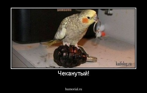 Чеканутый!