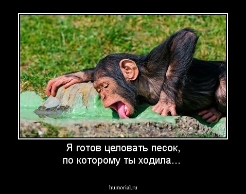 Я готов целовать песок, по которому ты ходила...