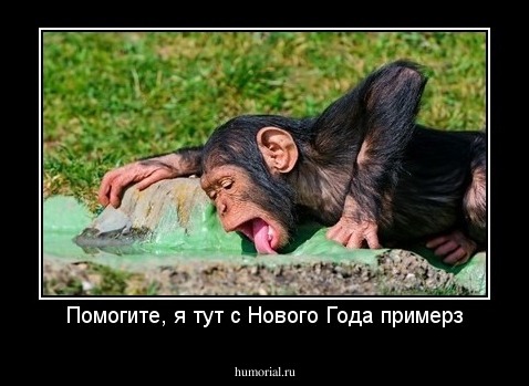 Помогите, я тут с Нового Года примерз