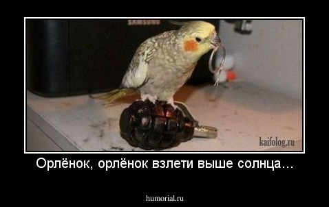 Орлёнок, орлёнок взлети выше солнца...