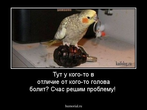 Тут у кого-то в отличие от кого-то  голова болит? Счас решим проблему!