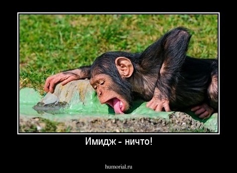 Имидж - ничто!